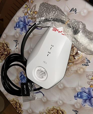 Aksesuarlar və tüninq: Elektrik avtomobili üçün divar tipli şarj cihazı (AC) - Brend — 1