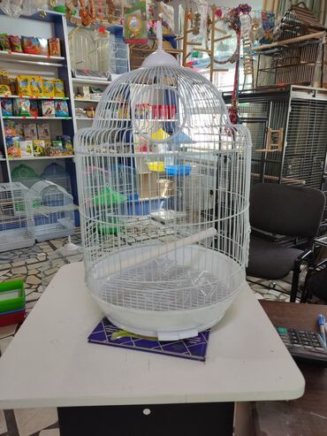 Зоотовары: Вольеры для птиц! at lalafo.kg — 4 Зоотовары: Вольеры для птиц! — 4