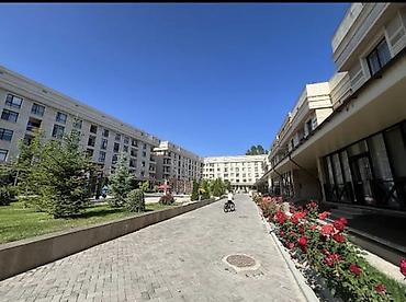 studio apartment: 2 комнаты, 80 м², 1 этаж — 3