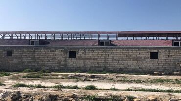 Torpaq sahələrinin satışı: 48 sot, Kənd təsərrüfatı, Makler, Kupça (Çıxarış) — 16