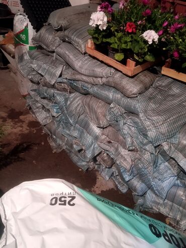 Şitillər: Qazon landşaft #qazon #torf #torf250litrlik Ekolayf #ekolayf balaken — 24