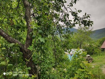 Həyət evləri və villaların satışı: 6 otaqlı, 224 kv. m — 30