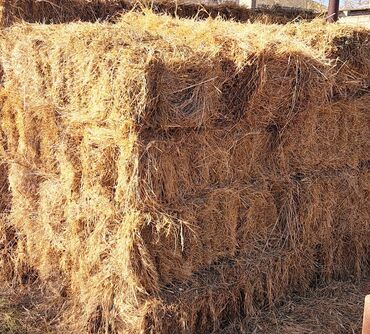 Yemlər: Təmiz birinci biçim ot bağlaması satılır 3.50 m