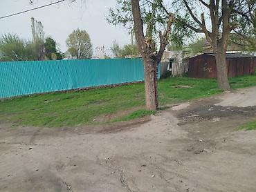 Продажа коттеджей и домов: Продаётся земельный участок с домом и хозяйственными постройками — 5