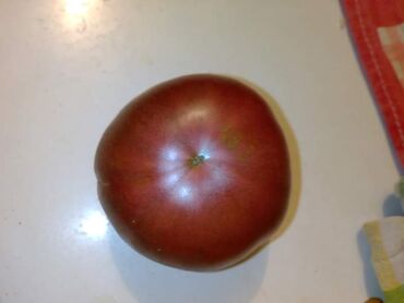 Semena i sadnice: Seme paradajza! Crveni jabučar Žuti jabučar Narandžasti jabučar — 6