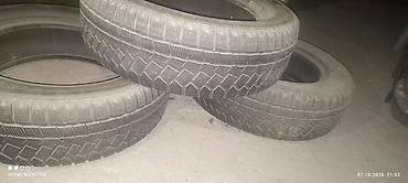 v2: Зимние шины Bridgestone Blizzak DM‑V2 (серия Ice/Arduzza по боковине) — 3
