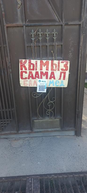 Султан Кымыз саамал бээнин суту кунуно КумБел жайлоосунан келет г