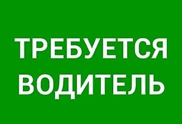 вакансия тренер: Требуется Водитель автобуса, буса, Категория прав (D1), Более 5 лет опыта, Пятидневка, Мужчина — 1