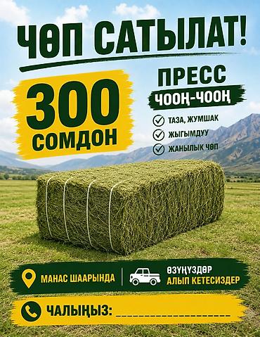 жаны уйлор: Сено в прессованных тюках - Крупные тюки, плотно спрессованные - — 1