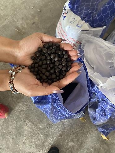 куплю кури: Корм для рыбы BIO JEM — экструзированные гранулы - Тип — 4