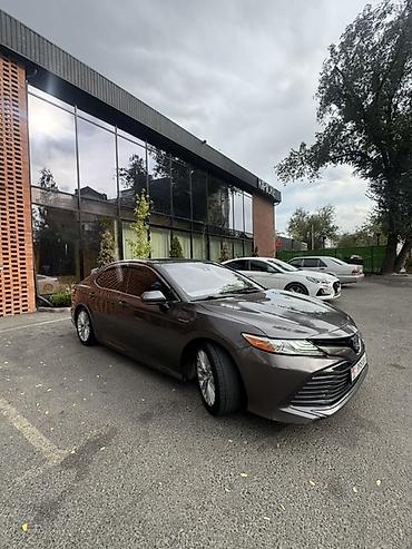 byd e2 2019: Toyota Camry: 2019 г., 2.5 л, Вариатор, Гибрид, Седан — 1