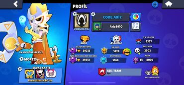 PS3 (Sony PlayStation 3): Brawl Stars hesabı – yüksək səviyyəli profil Əsas göstəricilər: -