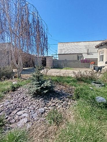 Продажа коттеджей и домов: Срочно продается дом отлично развивающимся районе АК ОРДО расположение — 14