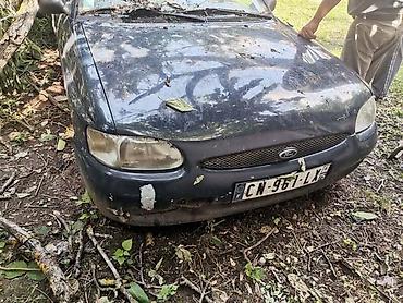 nnes auto kovin: KOMPLETNI AUTOMOBILI ZA DELOVE ZA FORD FIESTA OD 1996. DO 2011. GOD — 7