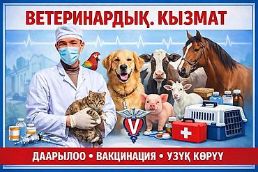 фермер: Ветеринарные услуги для домашних и сельскохозяйственных животных. Что — 1