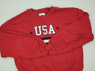 bluza argentyna: Bershka, Bluza damska
, rozmiar L — 1