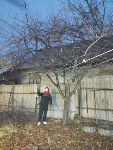 Спил деревьев, заготовка дров: Обрезка деревьев!!! Сезонная обрезка плодовых деревьев!!! Зима — 21