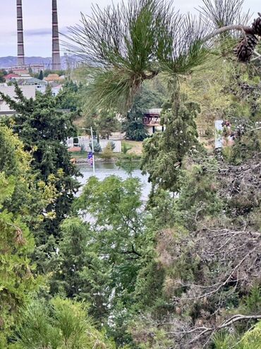 Günlük kirayə mənzillər: 3 otaqlı — 8