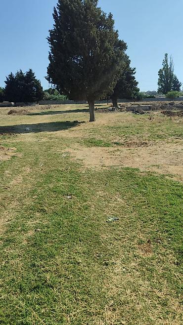 visnofkada torpaq: 20 sot, Tikinti, Mülkiyyətçi, Kupça (Çıxarış) — 6