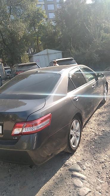 sonata 2012: Toyota Camry: 2009 г., 2.5 л, Автомат, Бензин, Седан — 3