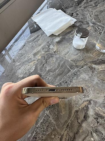 aphone 14: IPhone 12 Pro Max, Б/у, 256 ГБ, Matte Gold, Чехол, Кабель, 76 % — 7
