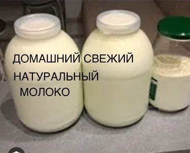 оптовые цены на продукты питания в бишкеке: ДОМАШНИЙ СВЕЖИЙ ЖИРНЫЙ НАТУРАЛЬНЫЙ КОРОВЬЕ МОЛОКО 🥛 1литр 70с. с