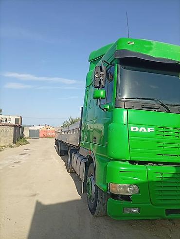 daf xf: Тягач, DAF, Бортовой — 2