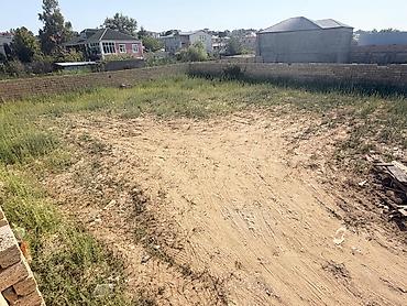 lenkeran torpaq satilir: 7 sot, Tikinti, Maklerlər narahat etməsin, Kupça (Çıxarış) — 8
