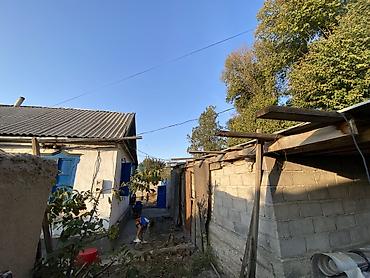 продам дом киргизия 1: 3 комнаты, 70 м², 14 соток, Петровка, Собственник — 3