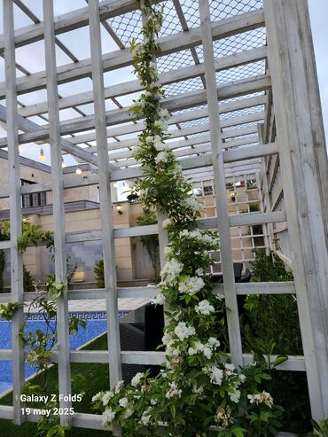 Bağ evlərinin kirayəsi: Şüvəlan qəs., 195 kv. m, 4 otaqlı, Hovuzlu, Qaz, İşıq, Artezian quyusu -da lalafo.az — 2 Bağ evlərinin kirayəsi: Şüvəlan qəs., 195 kv. m, 4 otaqlı, Hovuzlu, Qaz, İşıq, Artezian quyusu — 2