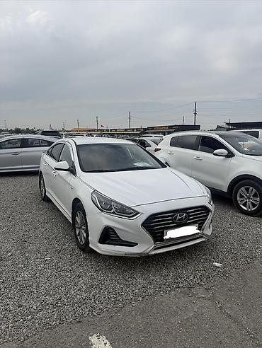r17 sonata: Hyundai Sonata: 2017 г., 2 л, Автомат, Газ, Седан — 1