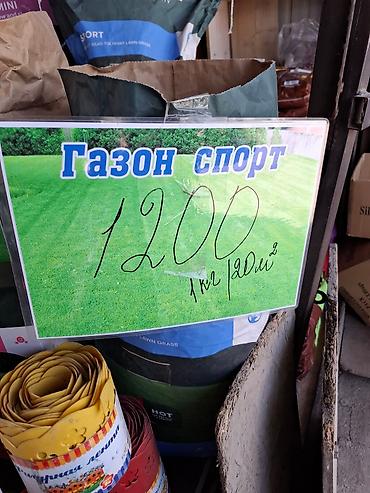 Другие стройуслуги: Газон Под ключ Посев газон 
ландшафтный дизайн сеем
газон — 12