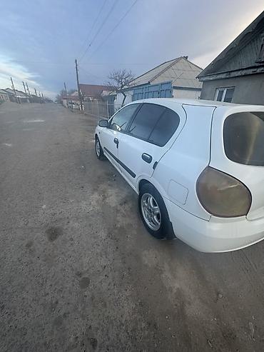 ниссан альмера фары: Nissan Almera: 2003 г., 1.8 л, Механика, Бензин, Хэтчбэк — 7
