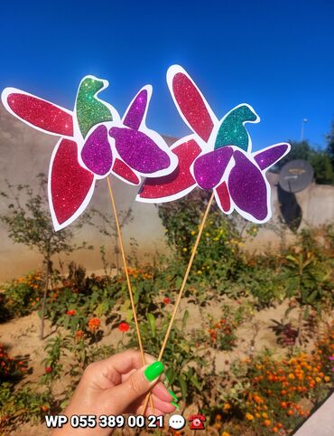 Şəkillər, tablolar: Şəkilləri çevirin zəhmət olmasa. Sinif otağı, bağça dekorları. XARI — 10