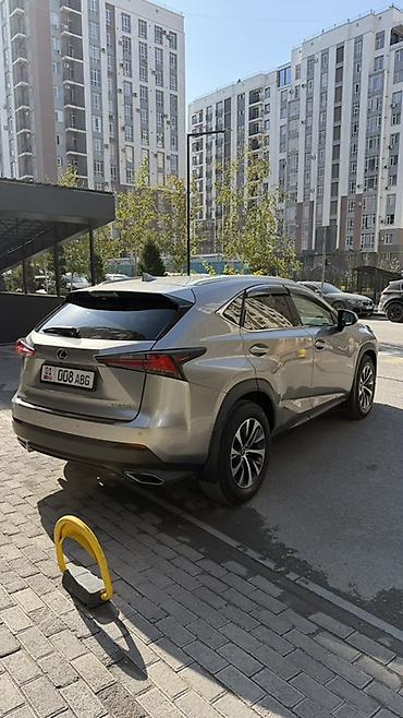 lexus nx: Lexus NX: 2019 г., 0.2 л, Автомат, Бензин, Кроссовер — 7