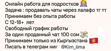 работа на удаленке без опыта: Онлайн работа. 12+ свободный график Только из Кыргызстана? Пишите в