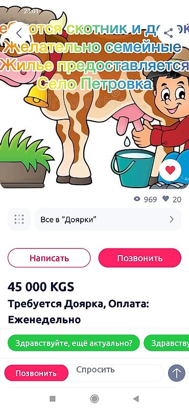 фасад жумуш: Талап кылынат Малчы, Төлөм: Жума сайын — 2