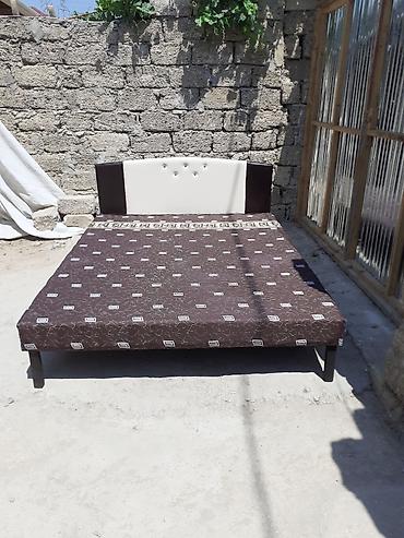 Kravat 
Taza