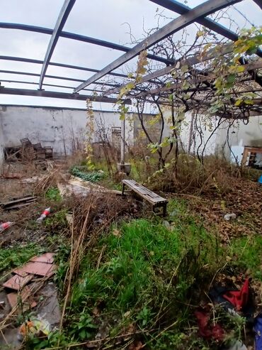 Uzunmüddətli kirayə mənzillər: Kirayə ev ve obyekt yol kenarı. 4 sota. yerlersır. cıxarısla — 6