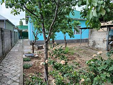 Продажа коттеджей и домов: Продается дом с двором и хозпостройками участок 4 соток рядом ходит — 6