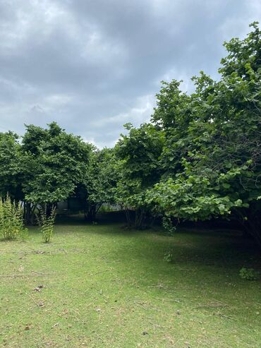 Torpaq sahələrinin satışı: 20 sot, Kənd təsərrüfatı, Mülkiyyətçi, Kupça (Çıxarış)