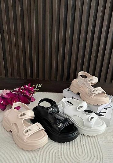 papuce sa plutom: Brojevi
36-41
2600 din
OR💥 — 1
