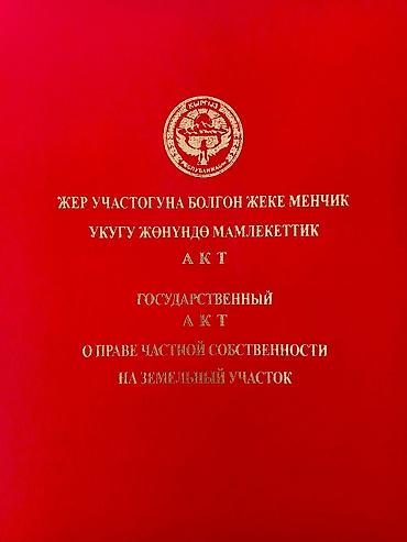 отдых на ысык кол: 6 соток, Бизнес үчүн, Кызыл китеп — 1