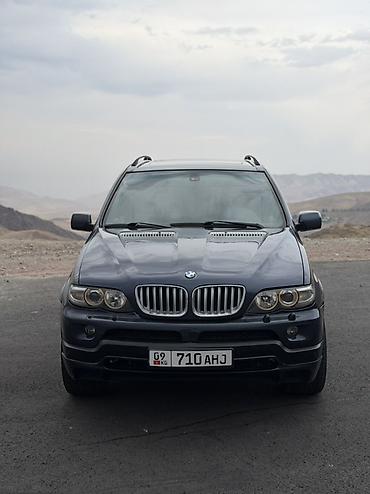Продажа авто: BMW X5: 2004 г., 4.4 л, Автомат, Бензин, Кроссовер — 2