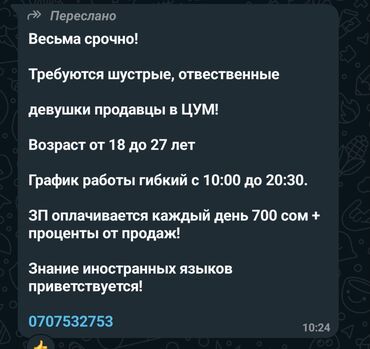 работа в сфере продаж: Сатуучу консультант