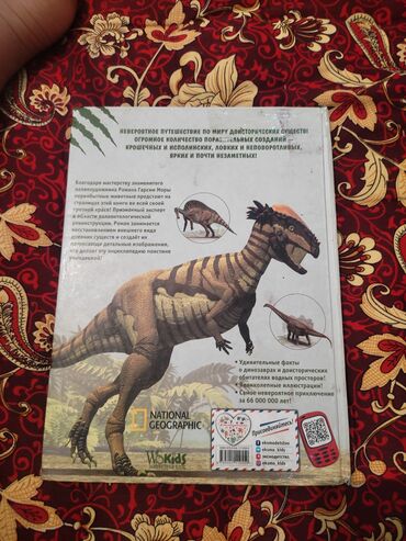 мини мото: Книга «Всё о динозаврах и других древних животных» от National