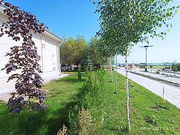 секс в иссык куле: Коттедж, Asia Palace, Сары-Ой — 8