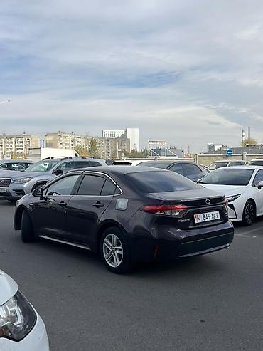 levin: Toyota Corolla: 2020 г., 1.8 л, Вариатор, Гибрид, Седан — 6