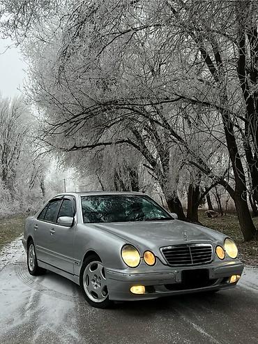 Mercedes-Benz: Mercedes-Benz E-Class: 2001 г., 4.3 л, Автомат, Бензин, Седан — 14