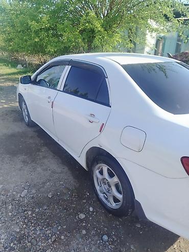 Продажа авто: Toyota Corolla: 2007 г., 1.6 л, Механика, Бензин, Седан — 2